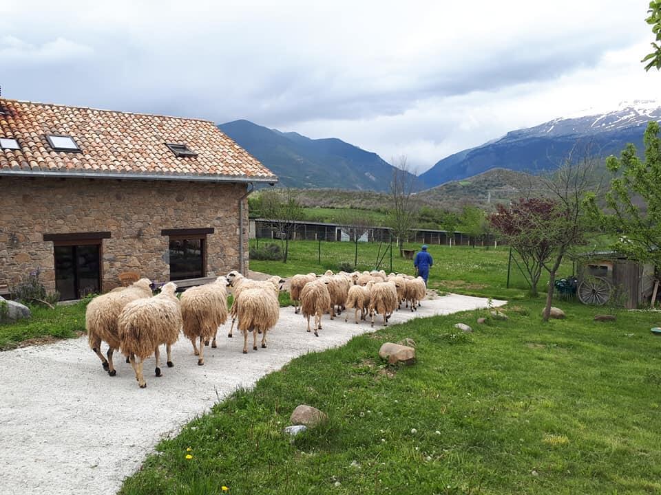 Albergue A'Noguera Castiello de Jaca Exterior photo